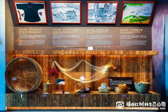 絲路視覺(jué)力作，深圳紅樹(shù)林生態(tài)科普展館正式對(duì)外開(kāi)放