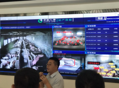德陽廣漢兩級市委領(lǐng)導(dǎo)帶隊調(diào)研“廣漢市數(shù)字鄉(xiāng)村運(yùn)營支持中心”