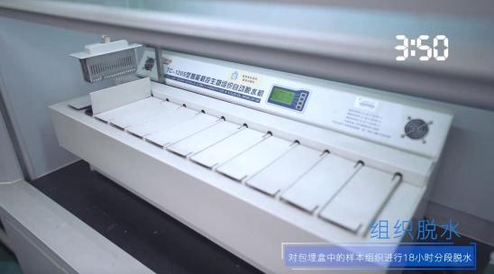 引爆冰箱行業(yè)的“微晶一周鮮”大揭秘！美的微晶冰箱如何做到“不凍原鮮，口感如初”？