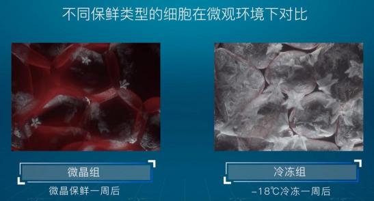 引爆冰箱行業(yè)的“微晶一周鮮”大揭秘！美的微晶冰箱如何做到“不凍原鮮，口感如初”？