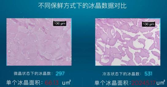 引爆冰箱行業(yè)的“微晶一周鮮”大揭秘！美的微晶冰箱如何做到“不凍原鮮，口感如初”？