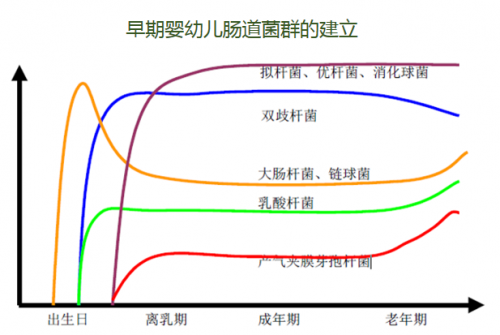 健合集團即將推出合生元益生菌滴劑