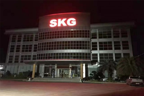 細分市場，SKG影音電器提升市場競爭力