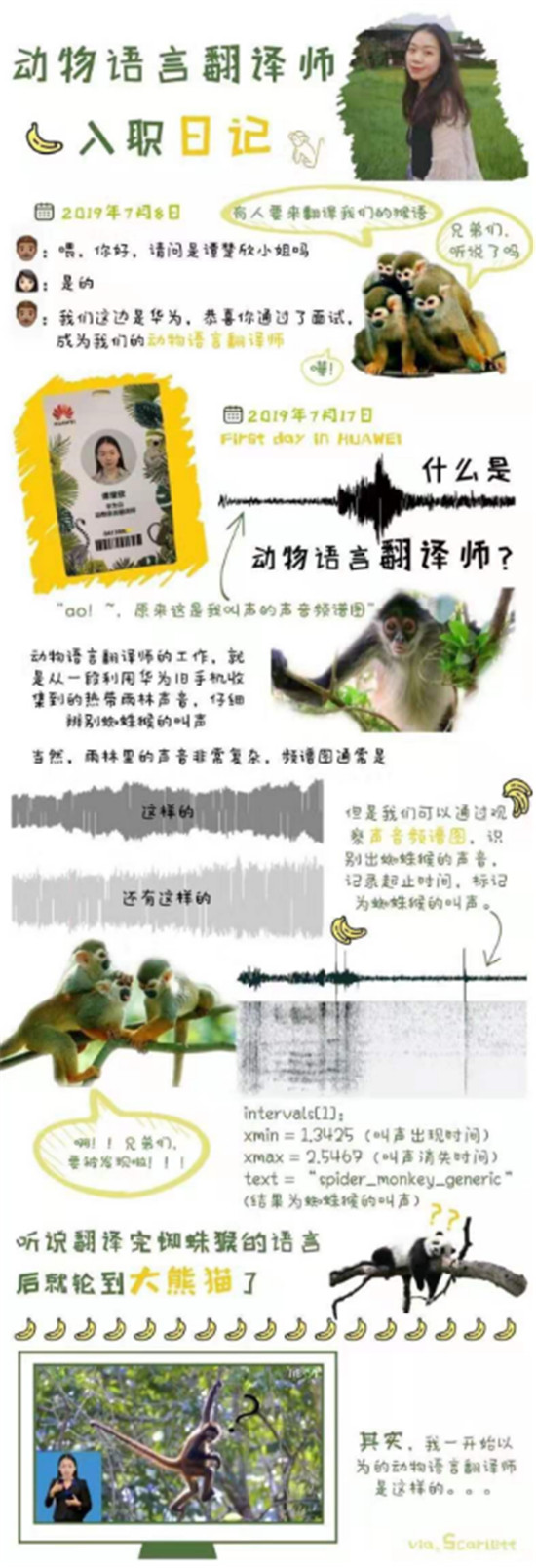用AI保護(hù)雨林，華為云動(dòng)物語(yǔ)言翻譯師正式入職！