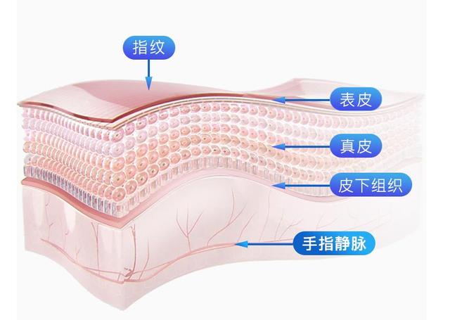 智能門鎖不止有指紋，樸墅指靜脈智能鎖了解一下？