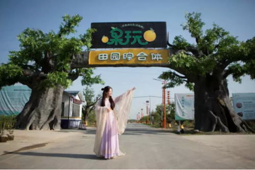 打造新農(nóng)業(yè)科技獨(dú)角獸 天九共享為樂享果玩賦能