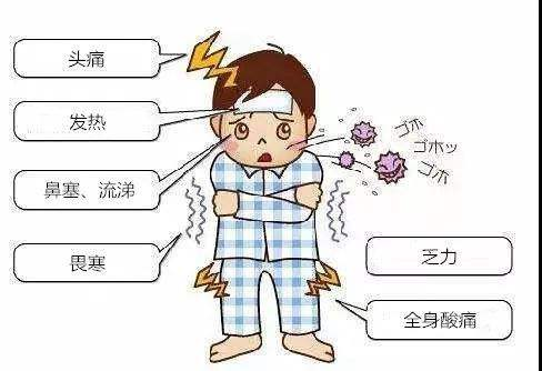 季流感盛行，家中常備白云山板藍根