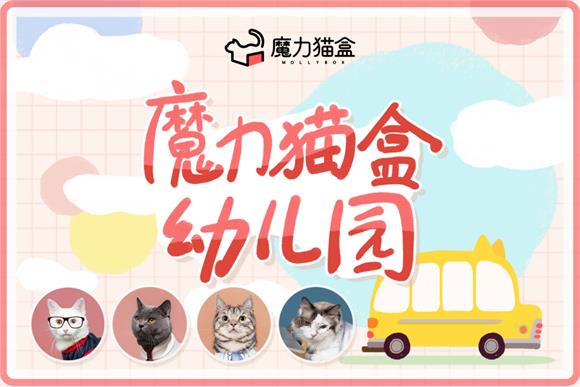 養(yǎng)貓新手“標(biāo)配”！魔力貓盒幼兒園幫你避開(kāi)養(yǎng)貓雷區(qū)
