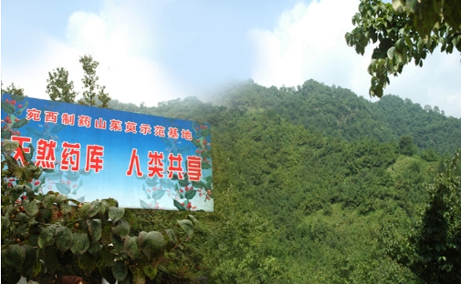 匠心傳承經(jīng)典！2019西普會(huì)“仲景”榮膺“健康中國(guó)·品牌榜”上榜品牌