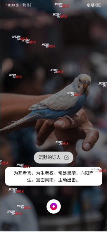 Breeno語音X電影《沉默的證人》，跨界合作帶來電影體驗(yàn)升級，“沉默的證人”不再沉默