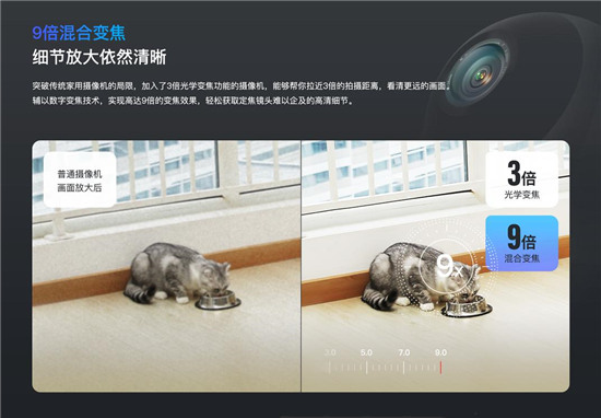 9 倍混合變焦、360°全景視野，守護愛寵它最行！