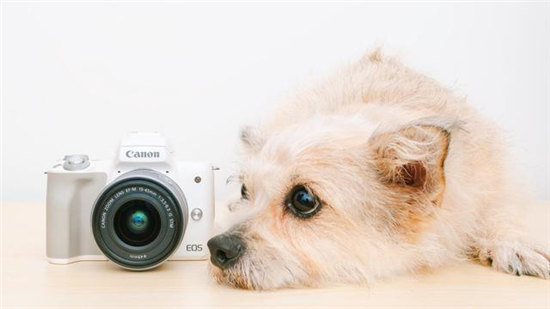 定格愛與正義！爆款微單EOS M50輕松拍攝萌寵寫真