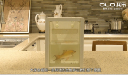 我樂櫥柜好不好？答案其實很明顯