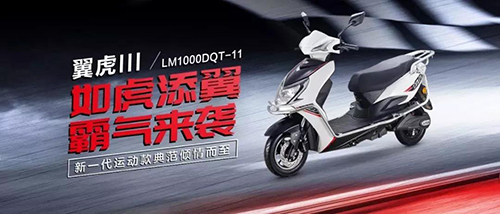 立馬電動(dòng)車運(yùn)動(dòng)款 騎上它們，我要“飄”！