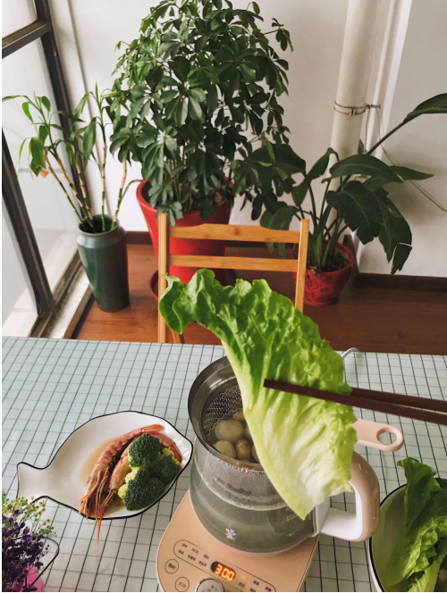 在家不開火也能涮火鍋？鳴盞涮涮養(yǎng)生壺開啟輕養(yǎng)生活