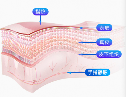 指紋解鎖出現(xiàn)安全隱患，何不試試指靜脈智能鎖？