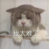 你太“南”了？華為云：何以解憂唯有AI
