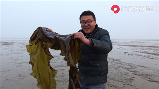 惹河豚生氣、遭八爪魚噴墨，趕海人在西瓜視頻上演現(xiàn)實版“老人與?！?/></p><p>在西瓜視頻上像川子這樣的創(chuàng)作者還有很多，他們從海邊，從灶臺前，從高樓大廈中走出來，走到這一方屏幕前，分享知識、分享技能、分享人生。西瓜視頻相關(guān)負(fù)責(zé)人表示，希望“人人都是生活的主角”不再只是一句口號，我們希望西瓜視頻能讓每一個心懷夢想的普通人得以展現(xiàn)自己的才華，也讓大家看到更大更美好的世界。</p>              	<p style=