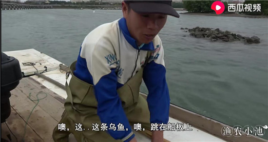 烏魚主動上船、魚蝦講究體面，“姜太公”式打漁走紅西瓜視頻