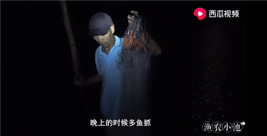 烏魚主動上船、魚蝦講究體面，“姜太公”式打漁走紅西瓜視頻