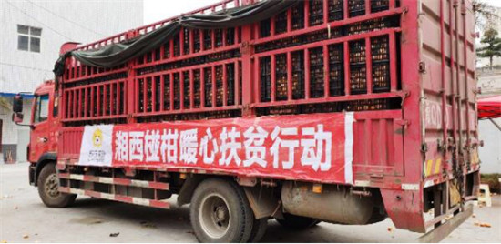 “95后”湘西少年返鄉(xiāng)助脫貧：搭上蘇寧拼購快車，做甜美事業(yè)