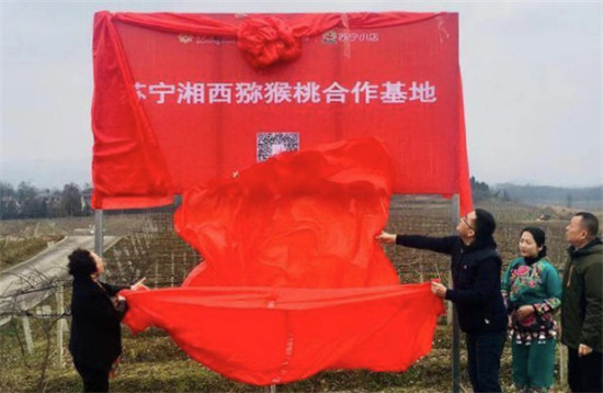 “95后”湘西少年返鄉(xiāng)助脫貧：搭上蘇寧拼購快車，做甜美事業(yè)