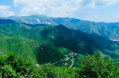 雅居樂陳卓林廣發(fā)英雄帖，邀你大展身手