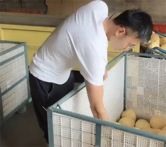 蘇寧拼購護(hù)航琯溪蜜柚上行：不止拼價格，更要拼品質(zhì)！