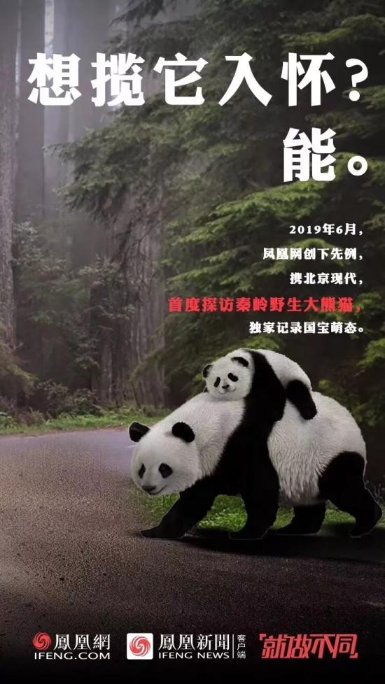 “就做不同”的背后，看鳳凰網(wǎng)的營銷進階之路