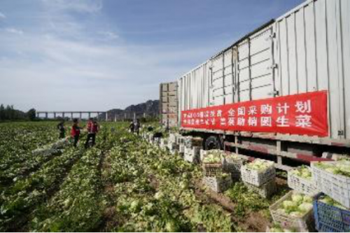 美菜網(wǎng)加速推進縣域合伙人制度，助力鄉(xiāng)村振興