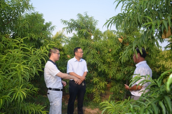 一年有一半的工作時間都在到處飛，他們在謀劃什么大事？