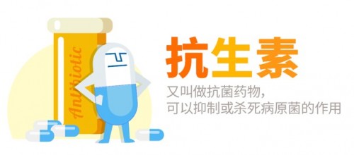 Life-Space益生菌要怎么吃，發(fā)揮大功效食用有講究