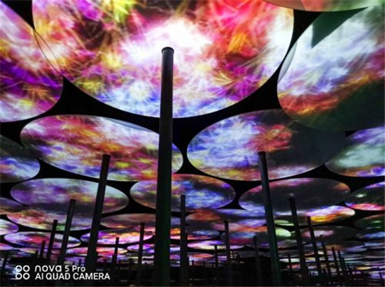 這個8月不簡單！nova星人免費(fèi)逛teamLab，還有蘇寧超品日等著你！