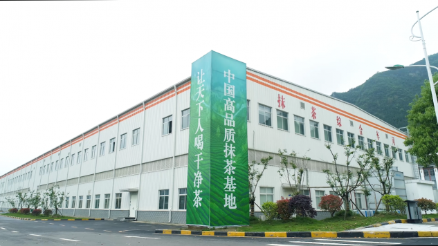 抹茶研究院帶你了解，如何判斷抹茶品質下降？