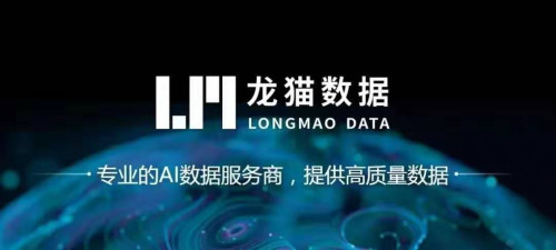 服務升級！AI反哺助力龍貓數據標注更智能