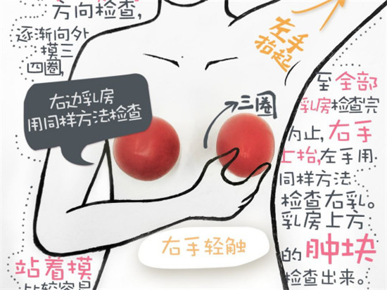 關(guān)愛(ài)乳房情系粉紅絲帶，劉燕釀制助力女性健康