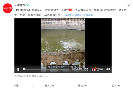 鏟屎官們注意了，萌寵又到了換毛季，家人的健康要時刻關(guān)注