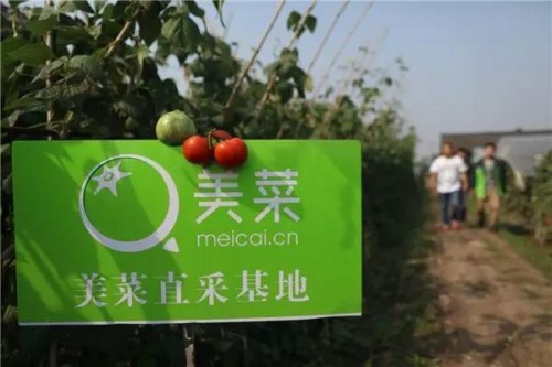 美菜與開元酒店集團(tuán)達(dá)成戰(zhàn)略合作，打造采購新模式為行業(yè)賦能