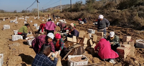 僅用一個小程序，傳統(tǒng)國貨品牌七匹狼挺進下沉市場實現(xiàn)新增客流90萬
