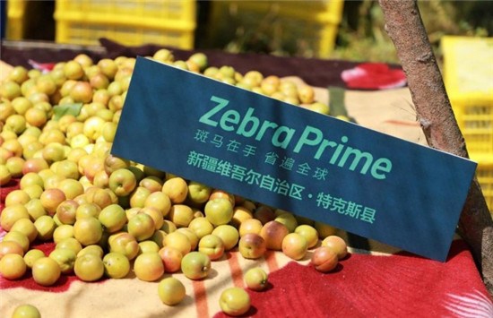 斑馬會員攜手新疆果業(yè)集團(tuán)，共助當(dāng)?shù)剞r(nóng)特產(chǎn)線上發(fā)展