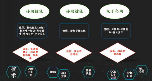深耕“三農(nóng)”不忘初心，科技創(chuàng)新堅(jiān)守始終