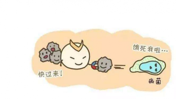 DR.HS澳洲赫醫(yī)生乳鐵蛋白：以匠心成就品質(zhì)，以有機(jī)助力成長(zhǎng)