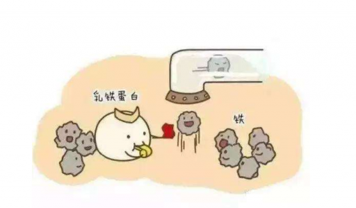 DR.HS澳洲赫醫(yī)生乳鐵蛋白：以匠心成就品質(zhì)，以有機(jī)助力成長(zhǎng)