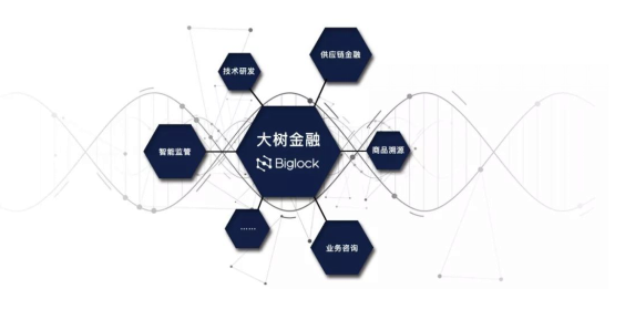 多個(gè)場景落地，大樹金融區(qū)塊鏈團(tuán)隊(duì)持續(xù)為產(chǎn)業(yè)發(fā)展賦能