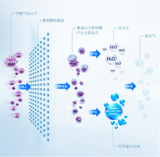 炭包市場要變天？凈美仕攜核心科技來攪局