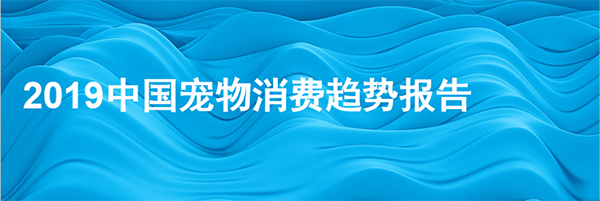 未婚一族養(yǎng)貓狗 年長一代好水族 看京東超市揭秘寵物消費(fèi)市場