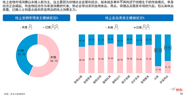 未婚一族養(yǎng)貓狗 年長一代好水族 看京東超市揭秘寵物消費(fèi)市場
