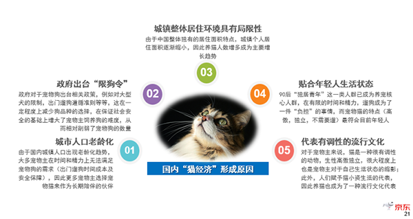 《2019中國寵物消費(fèi)趨勢(shì)報(bào)告》新鮮出爐，貓咪成年輕人標(biāo)配