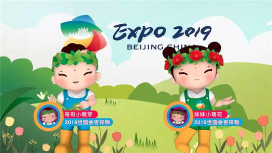 2019，相芯科技不得不說的那些事兒