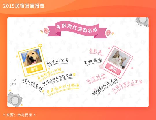 木鳥民宿發(fā)布《2019民宿發(fā)展報(bào)告》 平臺(tái)訂單呈3倍增長(zhǎng)